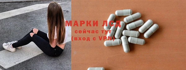 молекула духа Арсеньев