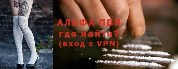 молекула духа Арсеньев