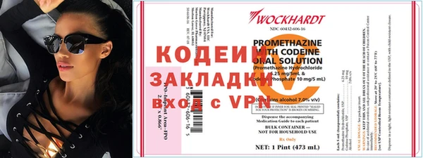 прущие грибы Аркадак