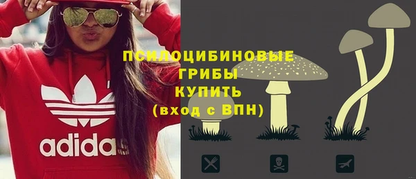 молекула духа Арсеньев