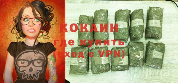 молекула духа Арсеньев