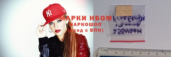 молекула духа Арсеньев