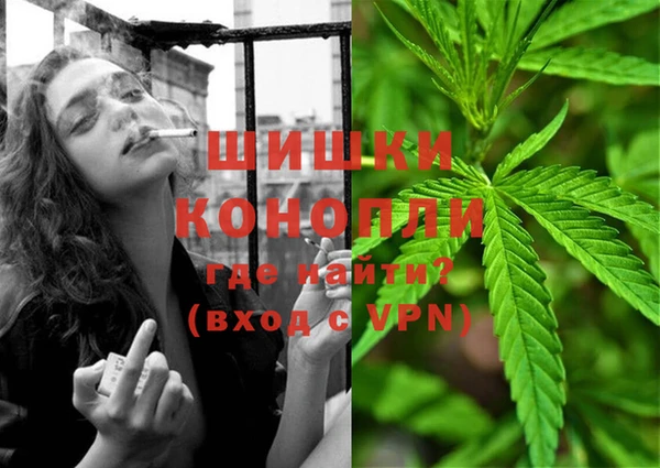 PSILOCYBIN Армянск