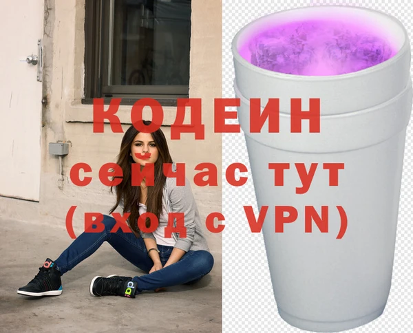 прущие грибы Аркадак