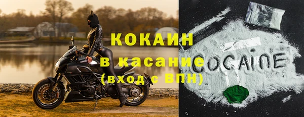 прущие грибы Аркадак