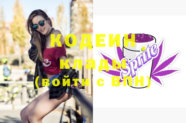 молекула духа Арсеньев